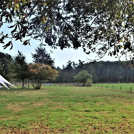 Unique Holiday In Soeren Surrounded By Nature בית נופש *